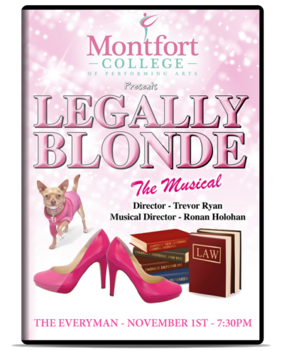 Legally Blonde - DVD Case